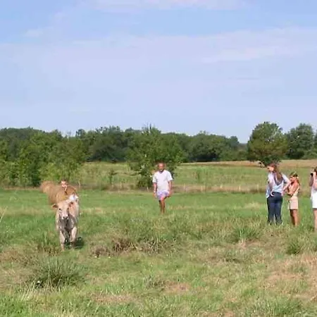 Frühstückspension D'hotes Le Chintre *