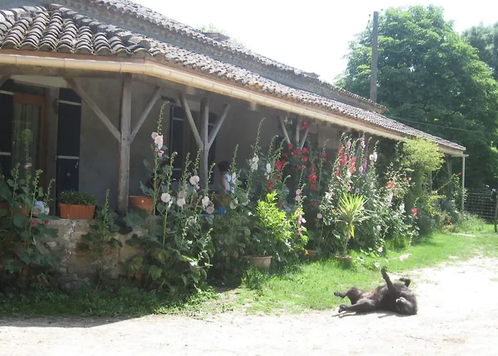 D'hotes Le Chintre *