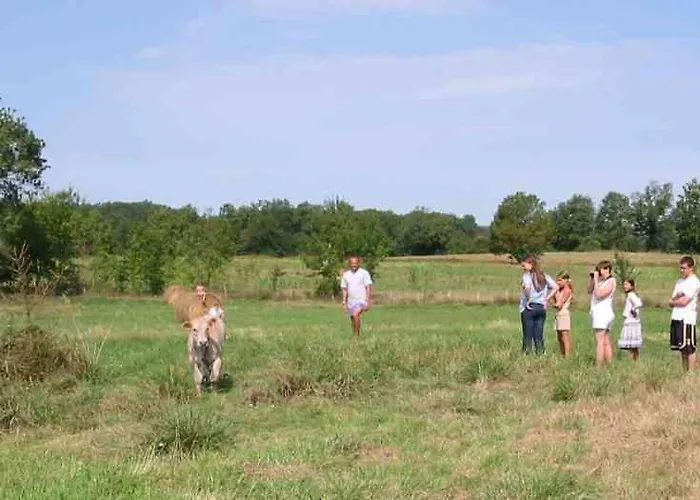 Bed & Breakfast D'hotes Le Chintre *