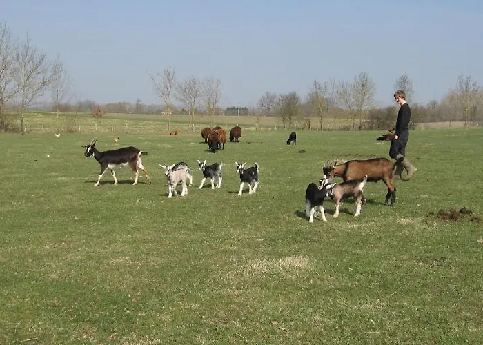 Bed & Breakfast D'hotes Le Chintre